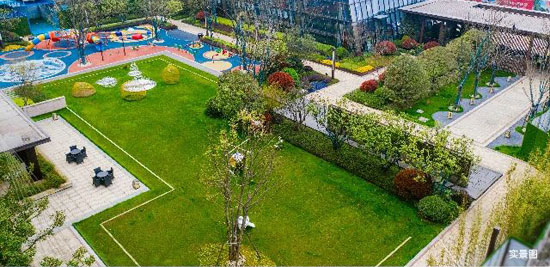 1727835988881686.jpg 2.jpg